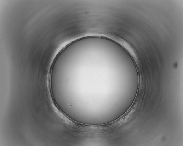 X0000091310958200708101106