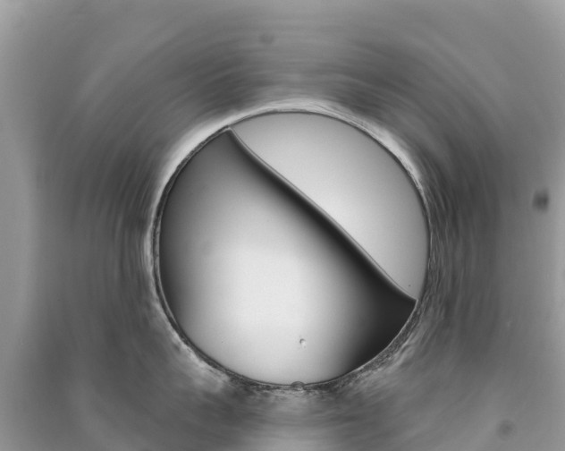 X0000091310959200708101106