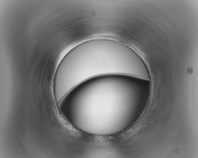 X0000091310960200708101106
