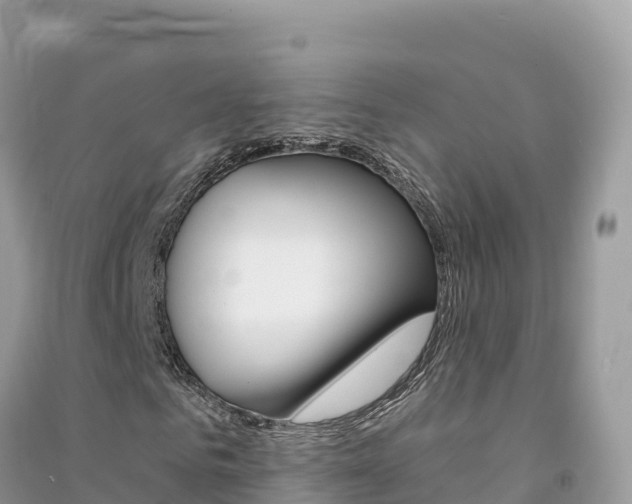 X0000091310961200708101105