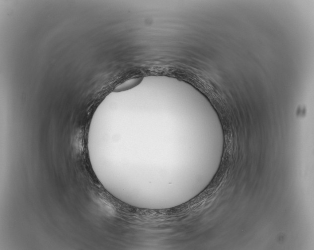 X0000091310962200708101105
