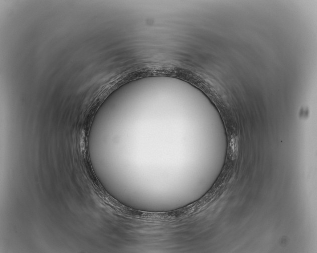 X0000091310963200708101105