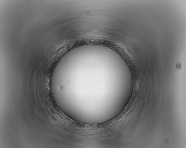 X0000091310964200708101105