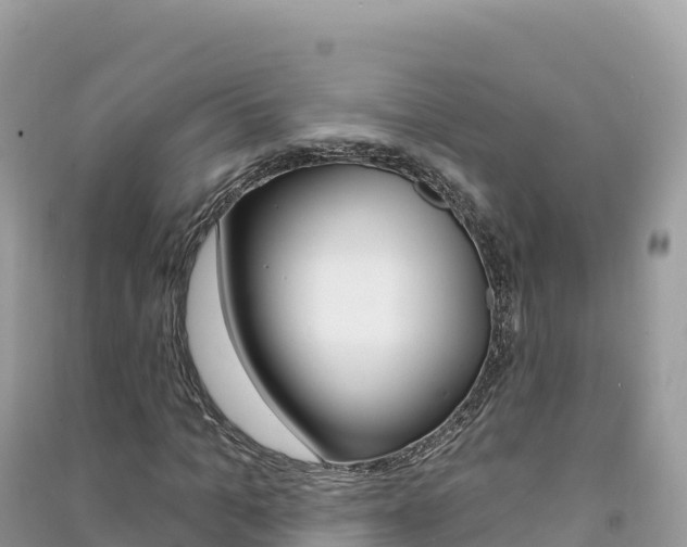 X0000091310965200708101105