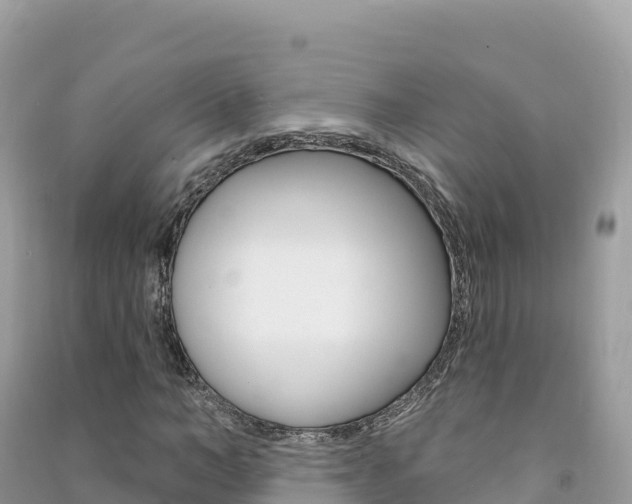 X0000091310966200708101105