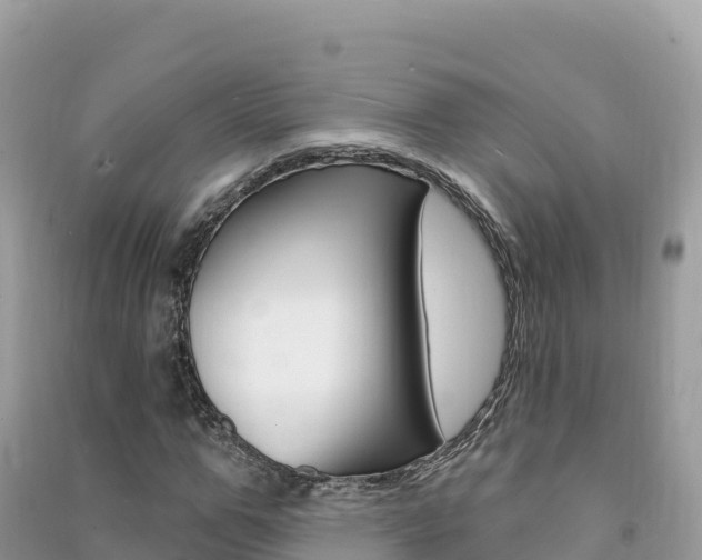 X0000091310967200708101105