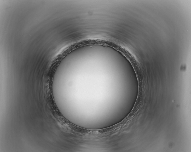 X0000091310968200708101105