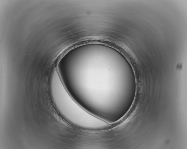 X0000091310969200708101105