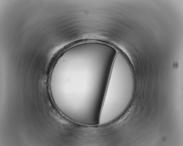 X0000091310971200708101105