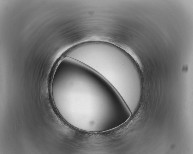 X0000091310972200708101105