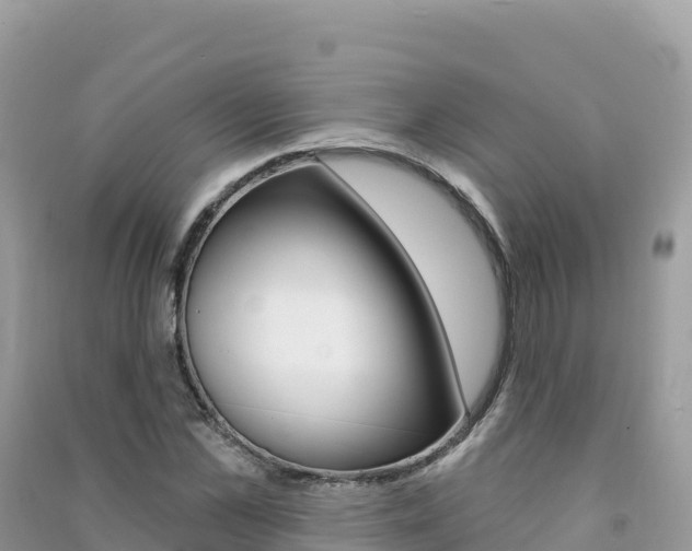 X0000091310973200708101105