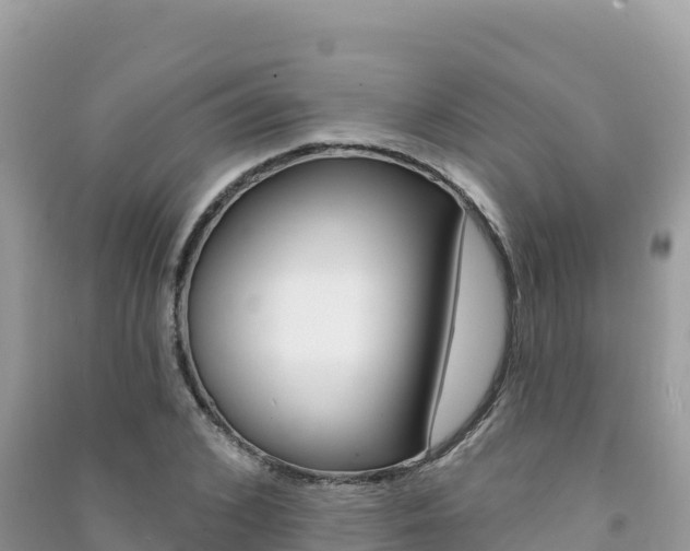 X0000091310976200708101105
