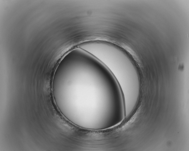 X0000091310977200708101105