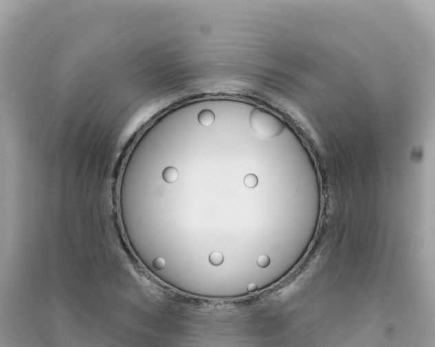 X0000091310978200708101105