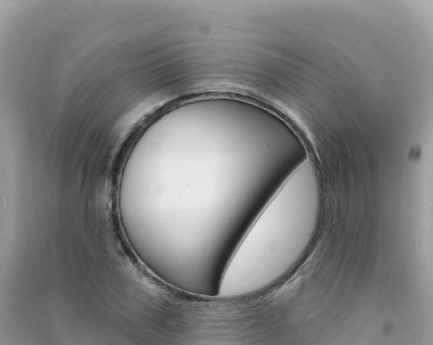 X0000091310979200708101105