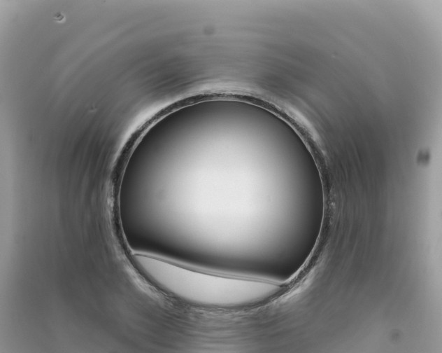 X0000091310981200708101105