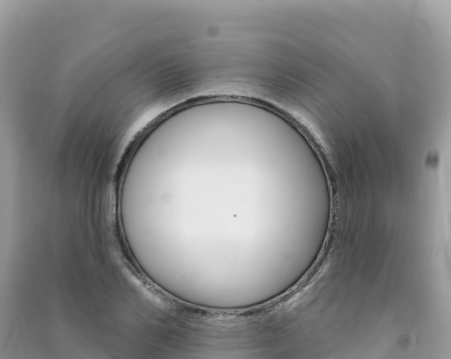 X0000091310982200708101105