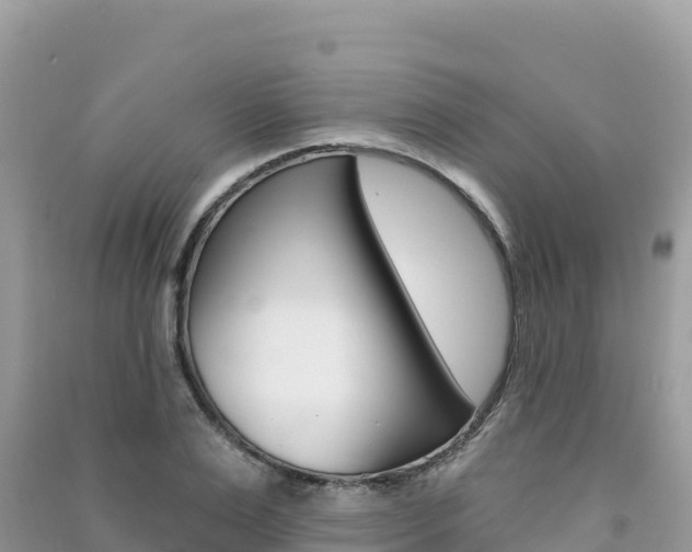 X0000091310983200708101105