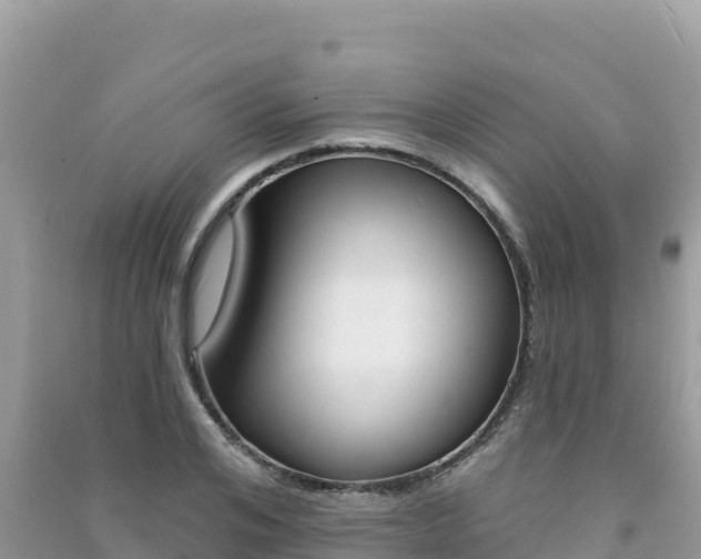 X0000091310984200708101105