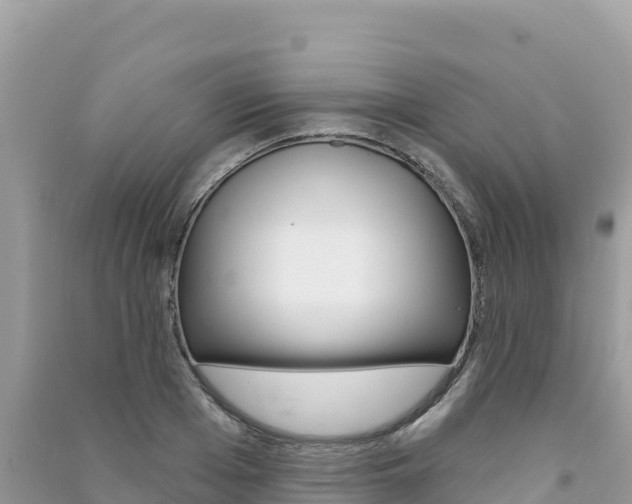 X0000091310985200708101105