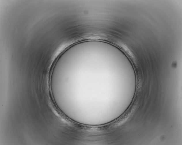 X0000091310986200708101105