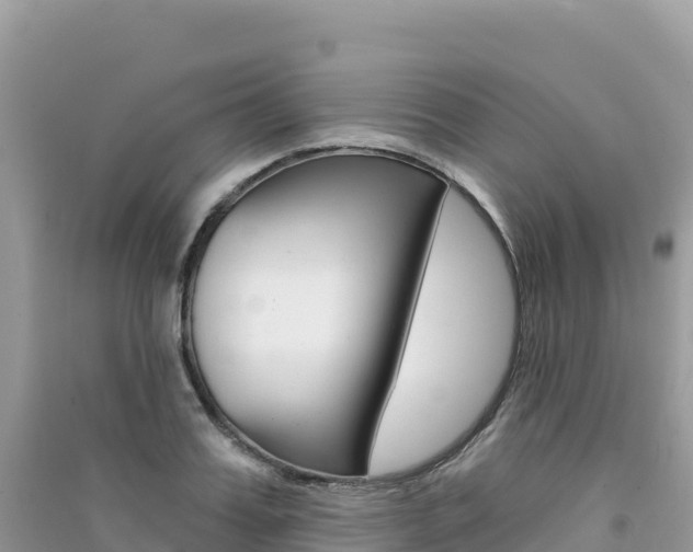 X0000091310987200708101105