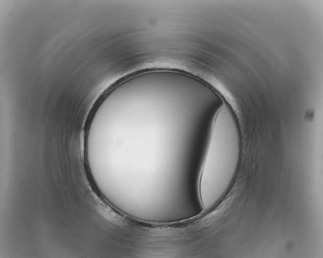 X0000091310988200708101105