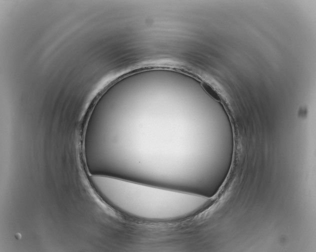 X0000091310989200708101105