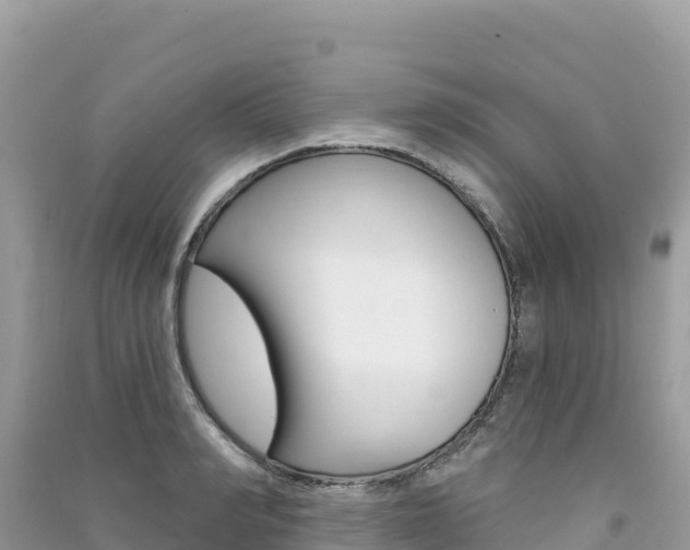 X0000091310990200708101105