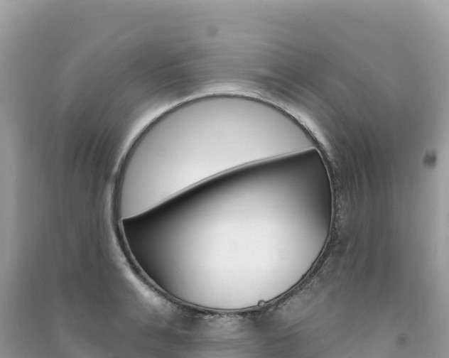 X0000091310991200708101105