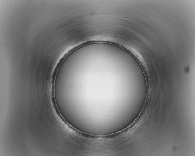 X0000091310992200708101105
