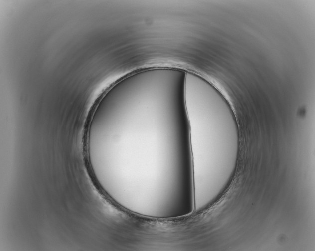 X0000091310995200708101105