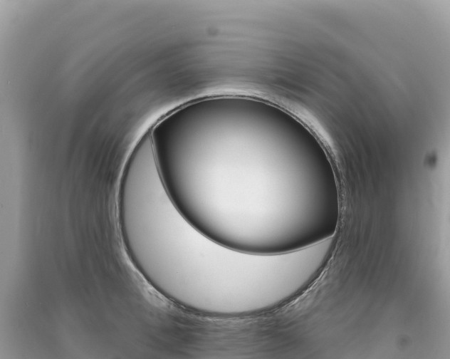 X0000091310996200708101105