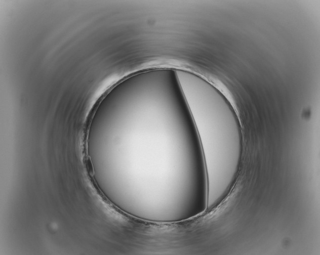 X0000091310997200708101105