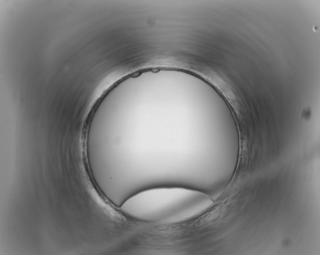 X0000091310998200708101105