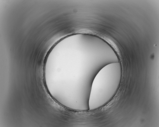 X0000091311000200708101105