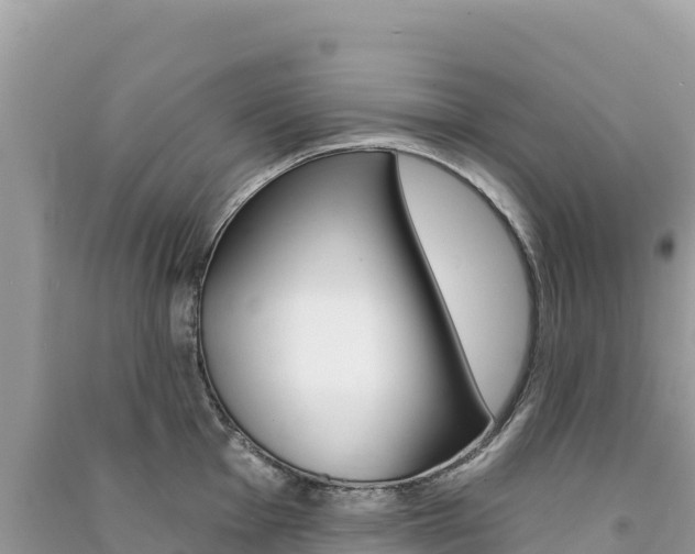 X0000091311001200708101105