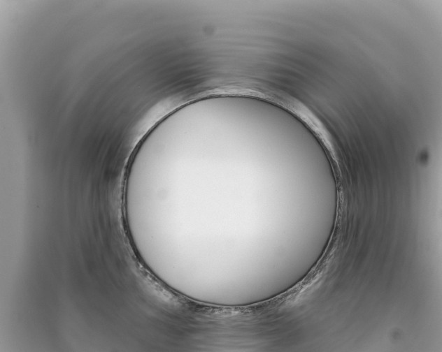 X0000091311002200708101105