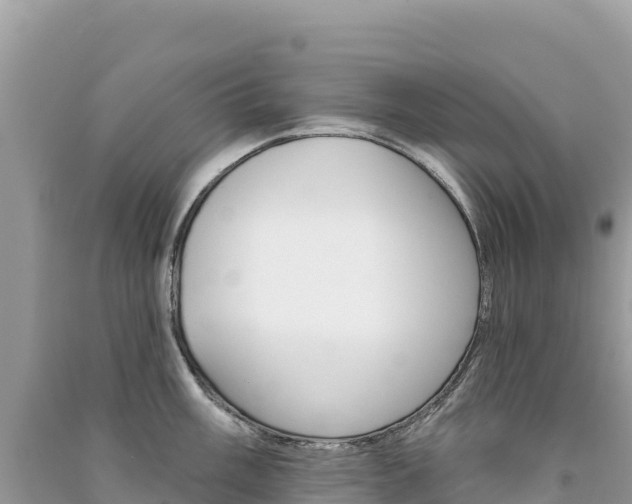 X0000091311003200708101105