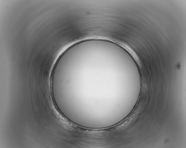 X0000091311004200708101105