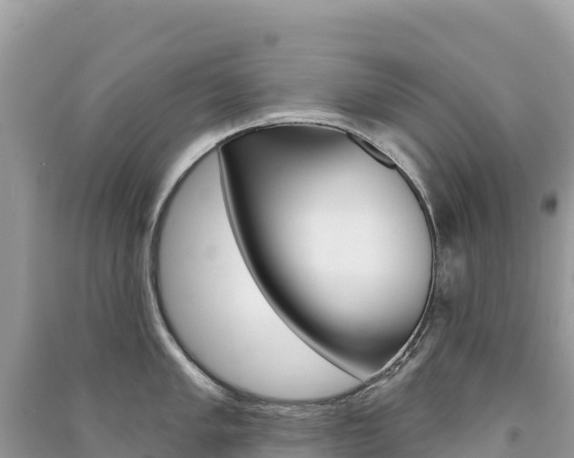 X0000091311005200708101105
