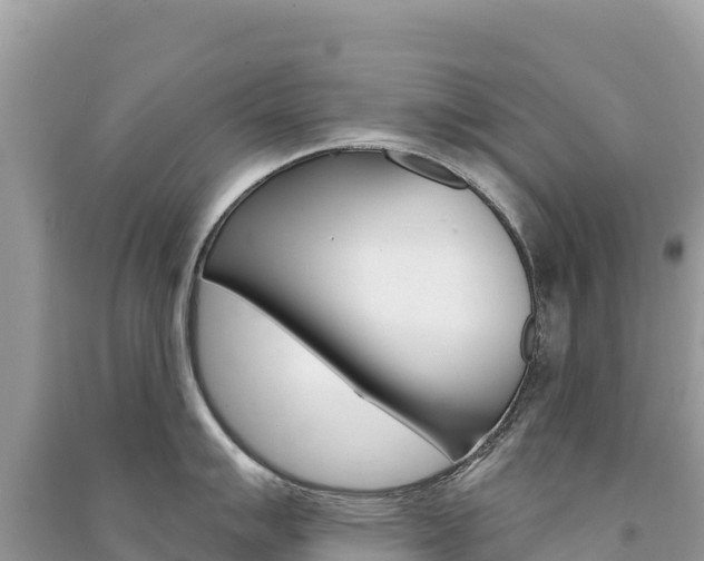 X0000091311007200708101105