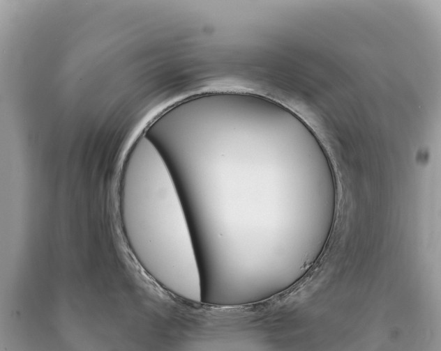 X0000091311008200708101105