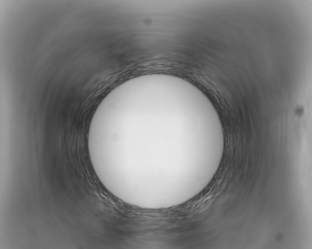 X0000091311010200708101104