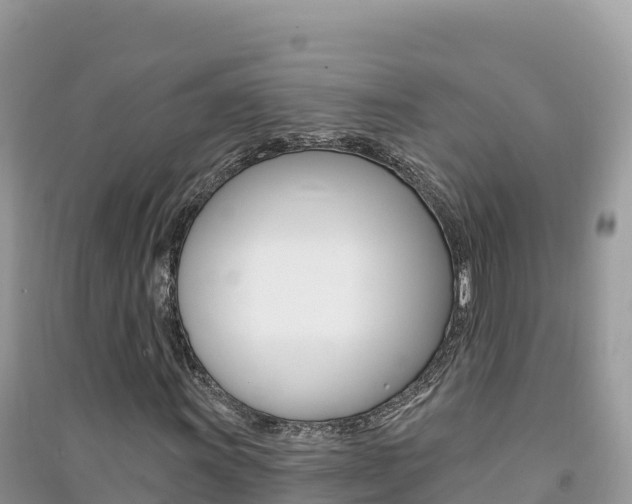 X0000091311011200708101104