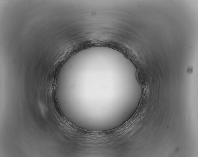 X0000091311012200708101104