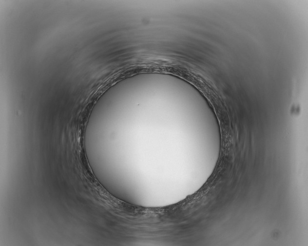 X0000091311013200708101104