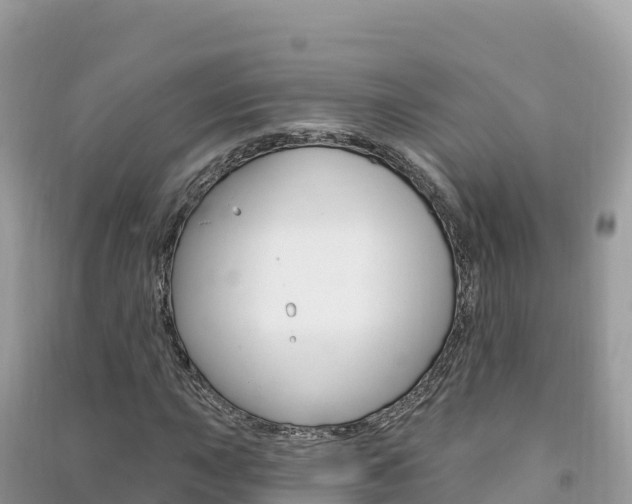 X0000091311015200708101104