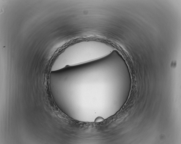 X0000091311016200708101104