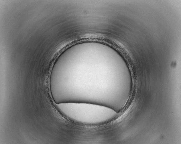 X0000091311017200708101104